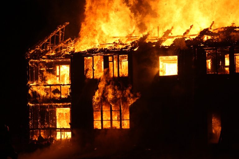 El mayor desastre 2024: incendios y su intencionalidad